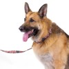 Country Brook Petz® Martingale Collar and Leash Americana Collection - 3 of 4