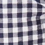 navy gingham