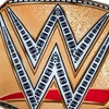 Bleacher Creatures WWE Universal Championship 24" Bleacher Buddy Belt - 3 of 4