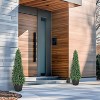 Artificial Boxwood Topiary Trees - Cone Shape Fake Plant with Modern Black Planter, Faux Outdoor Plants for Indoor Front Porch Plants Set of 2 - 3 of 4