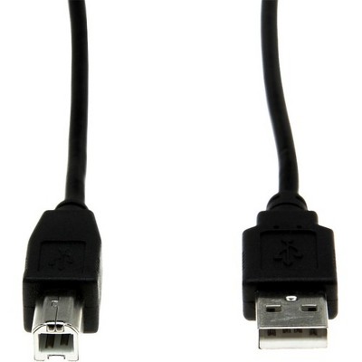 Rocstor Y10C116-B1 Premium High Speed USB 2.0 ??? 6 ft. USB Cable - 4 pin USB Type A (M) - 4 pin USB Type B (M) - Type A Male - Type B Male, Black