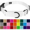 Country Brook Petz Heavy Duty Nylon Martingale Dog Collar with Deluxe Buckle - 30+ Vibrant Color Options - 2 of 4