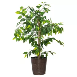 4' Artificial Copper Ficus Tree Planter - LCG Florals