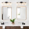 Modern 4-Light Vanity Light Fixture, Black and Gold Bathroom Wall Light with Clear Glass Shades - 4 of 4
