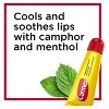 Carmex Daily Care Lip Balm SPF 15 Fresh Cherry  Moisturizing Lip Protection with Long-Lasting Hydration, 0.35 oz - 4 of 4