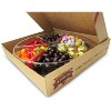 Gourmet Gift Tray 6-Section by Its Delish, 36 Oz Candy Mania with Chocolate and Nuts Gift Box - 2 of 4