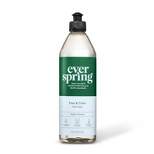 Free & Clear Liquid Dish Soap - 18 fl oz - Everspring™