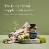Gaia Herbs Valerian Root - Natural Sleep Support for a Natural Calm to Help Relaxation to Prepare for Sleep - 60 Vegan Liquid Phyto-Capsules - 3 of 4