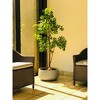 Rosemead Home & Garden, Inc. 16" Wide Kante Lightweight Outdoor Concrete Oval Bowl Decorative Planter Slate Gray: Modern Patio Decor - 4 of 4