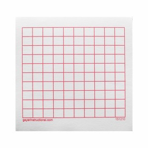 Geyer Instructional Products Graphing 3M Post-it® Notes,10 x 10 Grid, 4 Pads - 1 of 3