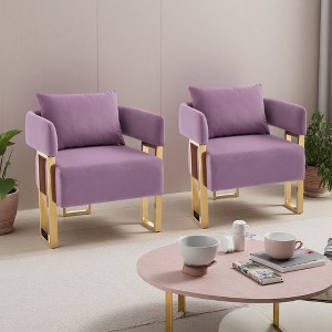 2-Piece Teddy Fleece Decorative Side Chair Set with Gold Metal Legs - 1 of 4