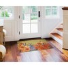 Liora Manne Esencia Garden Indoor/Outdoor Mat.. - 2 of 4