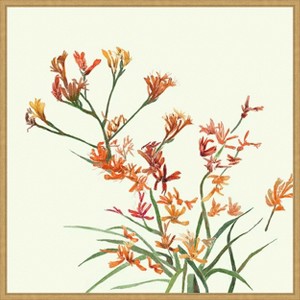 Amanti Art Kangaroo Paw 1 by Elan Studios Canvas Wall Art Print Framed 30-in. W x 30-in. H. - 1 of 4