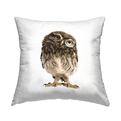 Stupell Industries Owl Tilting Head Portrait, 18 x 18