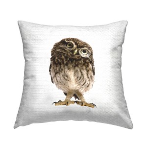 Stupell Industries Owl Tilting Head Portrait, 18 x 18 - 1 of 3