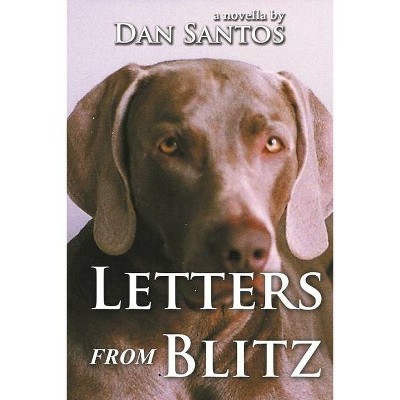 Letters from Blitz - by  Dan Santos (Paperback)