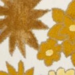 ivory/brown