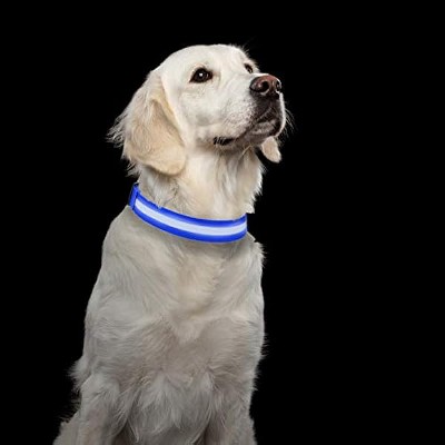 PETMAKER LED Large Dog Collar-Lights Up for Night Visibility and Safety- Adjustable, Rechargeable, 3 Flash Modes-for Evening Walks or Runs (Blue)