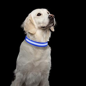 PETMAKER LED Large Dog Collar-Lights Up for Night Visibility and Safety- Adjustable, Rechargeable, 3 Flash Modes-for Evening Walks or Runs (Blue) - 1 of 1