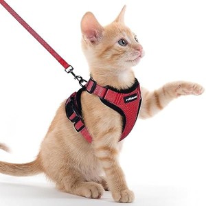 rabbitgoo Cat Harness and Leash for Walking, Escape Proof Soft Adjustable Vest Harnesses for Cats, Jacket, Red, XXS - 1 of 1