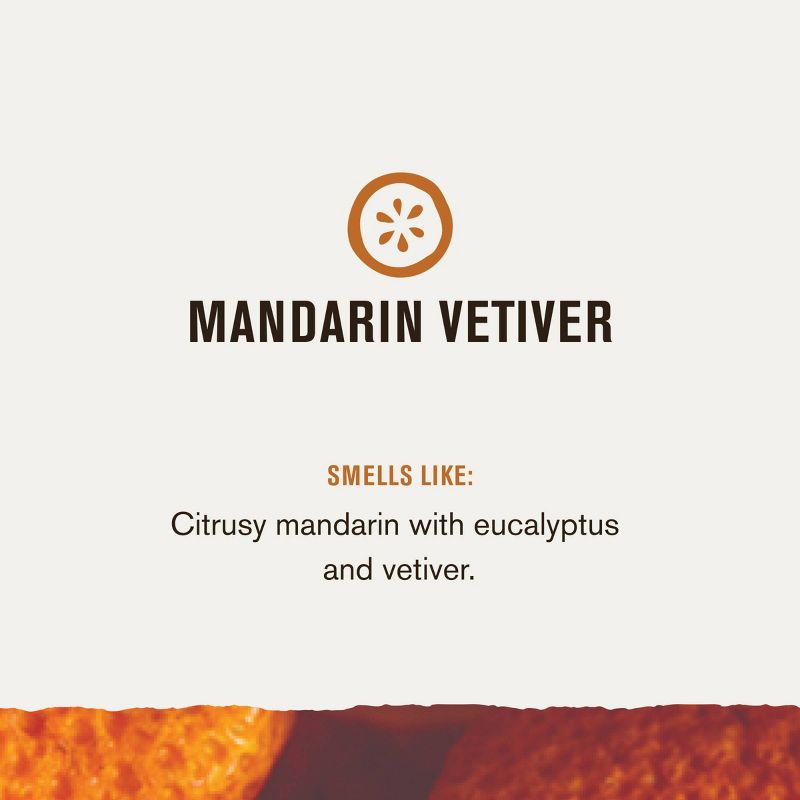 Every Man Jack Mandarin Vetiver Body Wash - 16.9 fl oz, 6 of 12