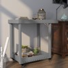 Hdpe Dining Cart, Portable Trolley with 4 Wheels, Double-Shelf Movable Grill Table - 2 of 4