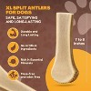 WhiteTail Naturals XL Split Elk Antler Dog Chew – Extra Large, Long-Lasting, Natural, Odor-Free & USA Made - 3 of 4