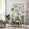Tribesigns 5-Tier Tall Indoor Plant Stand - 4 of 4