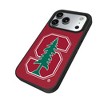NCAA ACC Universities Solid Bump Cell Phone Case for Apple iPhone 17 Series - 2 of 4