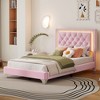 NicBex Twin/Full/Queen Upholstered Bed Frame with Velvet Tufted Headboard,Wood Platform Bed Frame with LED Lights,No Box Spring Needed,Easy Assembly - 2 of 4