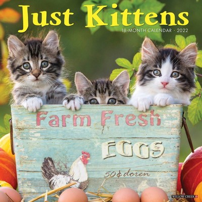 2022 Wall Calendar Just Kittens - Willow Creek Press