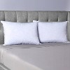 Sealy Standard/Queen Chill Pillow with Microban Antimicrobial Protection - image 4 of 4