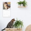 The Gifted Stationery 2025 Square Wall Calendar, Cat Shaming, 16-Month Humor Theme with 180 Reminder Stickers (12 x 12 In) - 2 of 4