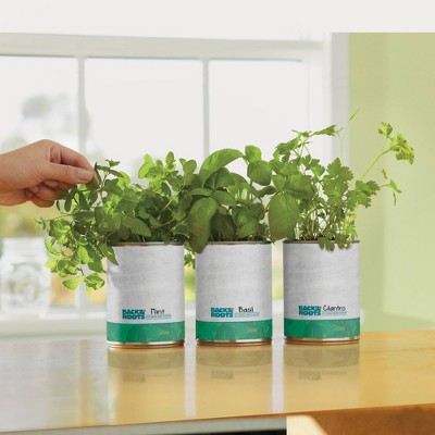 Back to the Roots 3pk Organic Kitchen Herb Garden Seed Kits