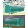 28x10x7.5ft Walk-in Greenhouse Tunnel ,Galvanized Steel Tunnel Greenhouse with Doors and Windows,for Home Gardening - 4 of 4