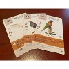 Stonemaier Games: Wingspan Oceania Expansion - 3 of 3