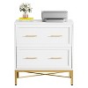 Hommoo 2-Drawer File Cabinet, Lateral Storage Cabinet Printer Stand - 4 of 4