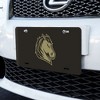 Southwest Minnesota State University Primary Logo Novelty Metal Vanity Tag License Plate - 2 of 4