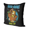 Warner Bros. Scooby-Doo Like Ruh Roh Scoob Throw Pillow 18x18 Inches - 2 of 2
