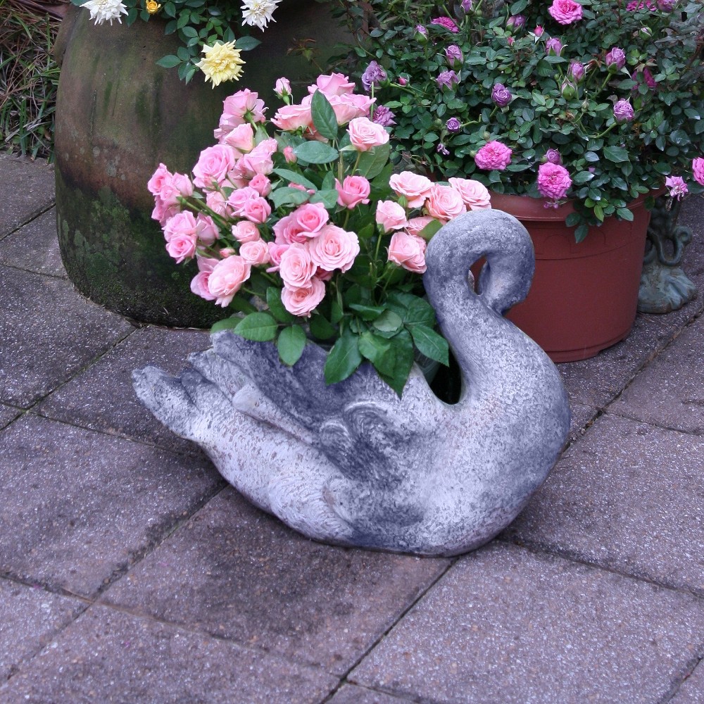 Photos - Garden & Outdoor Decoration 3pc Mini Rose Cupcake - National Plant Network: Thornless, Sun/Shade, Pink Blooms