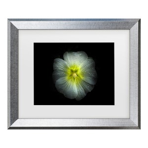 Trademark Fine Art - Brian Carson Backyard Flowers 62 Matted Framed Art - 1 of 4