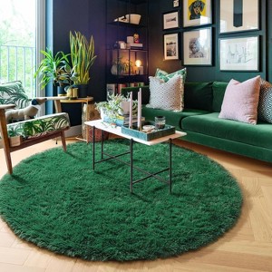 5ft Round Fluffy Area Rug, Soft Shaggy Circle Carpet for Bedroom, Kids Girls Boys Room - 1 of 4