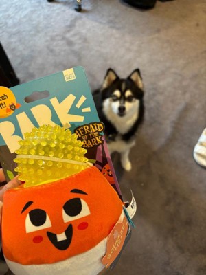 Guest review image 2 of 2, zoom in