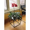 Indoor/Outdoor Arne Steel Plant Stand with Galvanized Tray Black Powder Coated Finish - Achla Designs: Freestanding Square Holder - 4 of 4