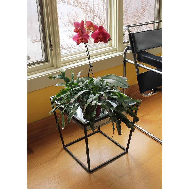 Indoor/Outdoor Arne Steel Plant Stand with Galvanized Tray Black Powder Coated Finish - Achla Designs, 5 of 7