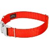 Country Brook Petz Premium Nylon Dog Collar with Metal Buckle for Small Medium Large Breeds - Vibrant 30+ Color Selection - 3 of 4