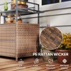 Aghana Digitals Mixed Brown Outdoor Bar Cart with Tempered Glass Top, 2-Tier Shelves, Cabinet & - 4 of 4