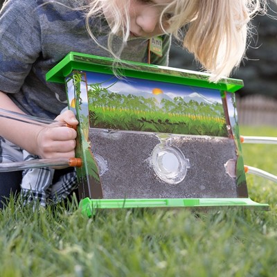 Fat Brain Toys Ant Jungle FB433-1