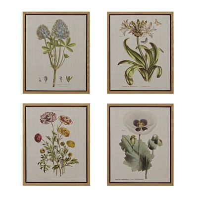 VisioGear 4PCS Botanical Illustration Framed Canvas Wall Art Set, Wall Decor for Hallway Office Wall Decor, Multicolor, 21.84"*17.84"*1.4"