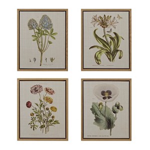 VisioGear 4PCS Botanical Illustration Framed Canvas Wall Art Set, Wall Decor for Hallway Office Wall Decor, Multicolor, 21.84"*17.84"*1.4" - 1 of 4